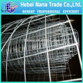 2016 Manufacturers selling stock firm 2x4 galvanized welded wire mesh